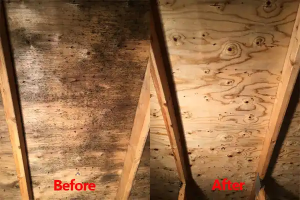 water damage restoration service Woodlawn